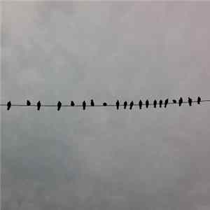 Mike McCready - Music For Film FLAC