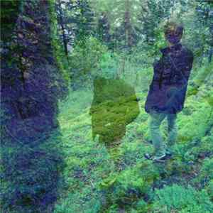 Mark McGuire - Misunderstandings FLAC