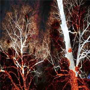 Malicious Wonderland - Psychic Torment FLAC