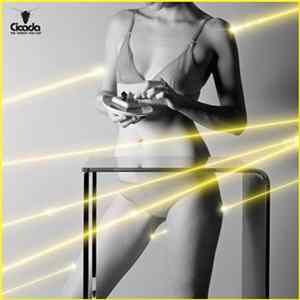 Cicada - The Things You Say FLAC