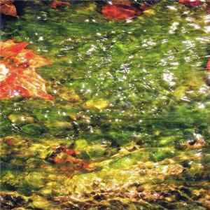 Dificil Equilibrio - Flood FLAC
