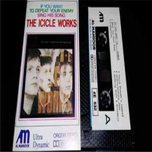 The Icicle Works - If You Want To Defeat Your Enemy Sing His Song FLAC