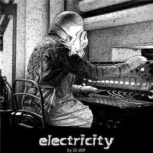 iZi dSP - Electricity FLAC