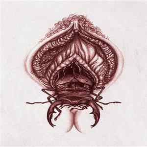 Mecano Lacrymo - Abstruses Ambivalences FLAC