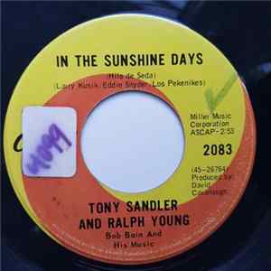 Sandler & Young - In The Sunshine Days (Hilo De Seda) / Seven Lonely Days FLAC