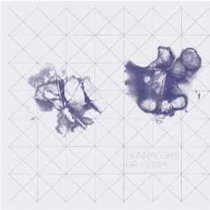 Bonnacons Of Doom - Rhizome / Black Flowers FLAC