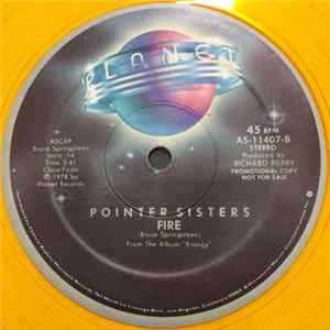 Pointer Sisters - Happiness FLAC