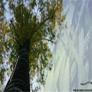 Madstyle - Fine Sounding Seasons FLAC