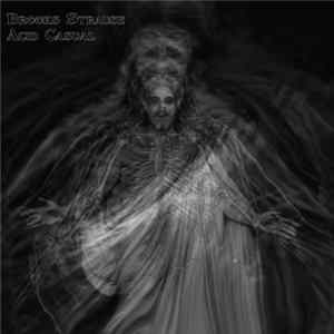 Brooks Strause - Acid Casual FLAC