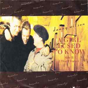 Danny Wilson - A Girl I Used To Know FLAC