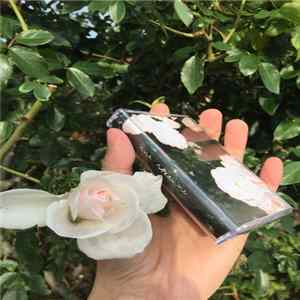 Ana Roxanne - ~​~​~ FLAC