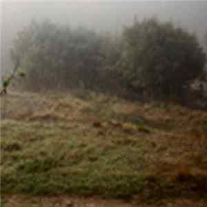 Quadraphonic - Ir FLAC