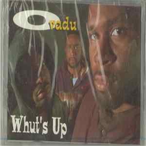 Ovadu - Whut's Up FLAC