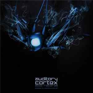 Yaminahua And Airi - Auditory Cortex FLAC