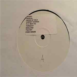 Drokz & Tails - All Styles (And No One Tells Us What To Do) FLAC