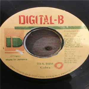 Cobra - Tek Him FLAC