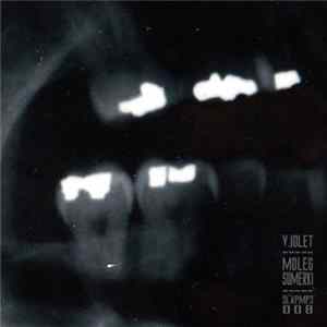 V.iolet - Ack FLAC