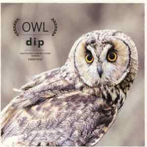 Dip - Owl FLAC