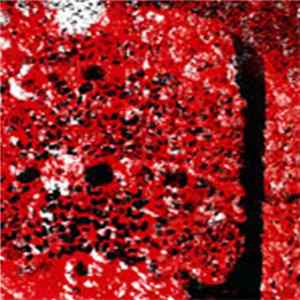Pigs In The Ground - Serum Feast FLAC
