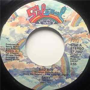 Skyy - Bad Boy FLAC