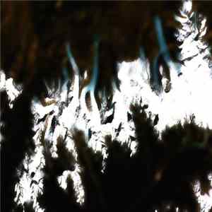 Faust - The Old World FLAC