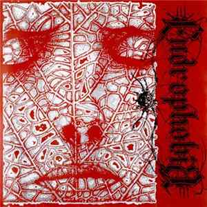 Endrophobia - Endrophobia FLAC