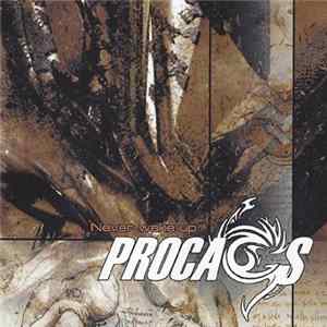 Procaos - Never Wake Up FLAC