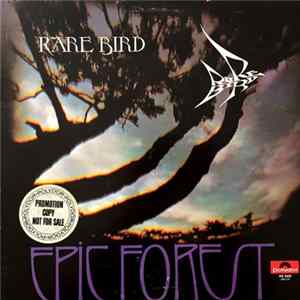 Rare Bird - Epic Forest FLAC