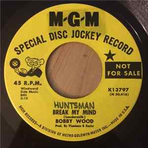Bobby Wood - Break My Mind FLAC