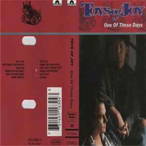 Toys Of Joy - One Of These Days FLAC