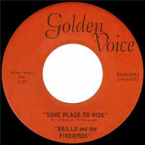 Brillo And The Firebirds - Some Place To Hide FLAC