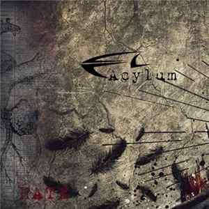 Acylum - Hate FLAC