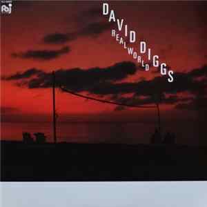 David Diggs - Realworld FLAC
