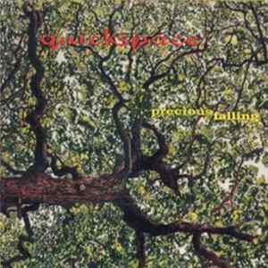 Quickspace - Precious Falling FLAC