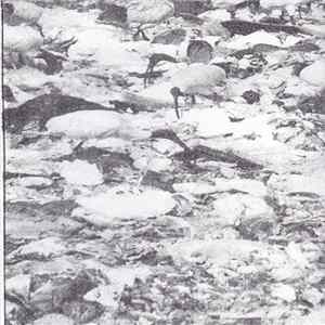 Flesh Police - Demo 2013 FLAC