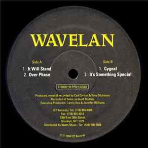 Wavelan - It Will Stand FLAC