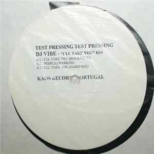 DJ Vibe - I'll Take You FLAC