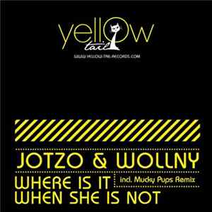 Jotzo & Wollny - Where Is It When She Is Not FLAC
