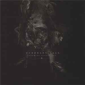 Funerary Call - The Mirror Reversed II FLAC