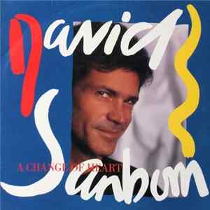 David Sanborn - A Change Of Heart FLAC