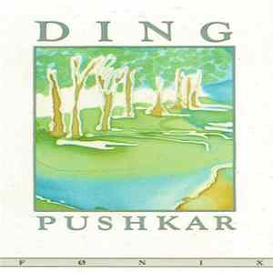 Pushkar - Ding FLAC