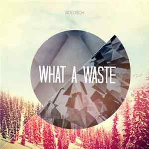 Sideditch - What A Waste FLAC