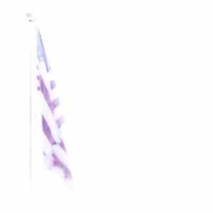 Y-O-U - Everything Is Shifting FLAC