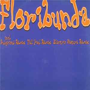 Mother's Pride - Floribunda FLAC