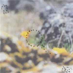 Loren Chasse - Synthesis Of Neglected Places FLAC