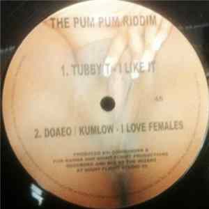 Various - The Pum Pum Riddim Vol.4 FLAC