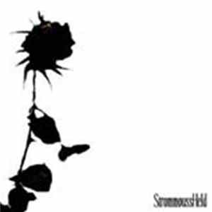 StrommoussHeld - My Microcosmos FLAC