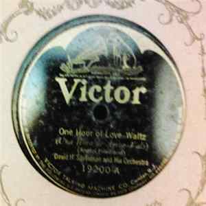 David H. Silverman And His Orchestra - One Hour Love / Nights In The Woods FLAC