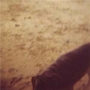 To Blacken The Pages - North FLAC
