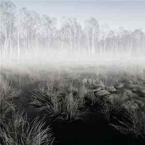 Ben Fleury-Steiner - Clearings FLAC